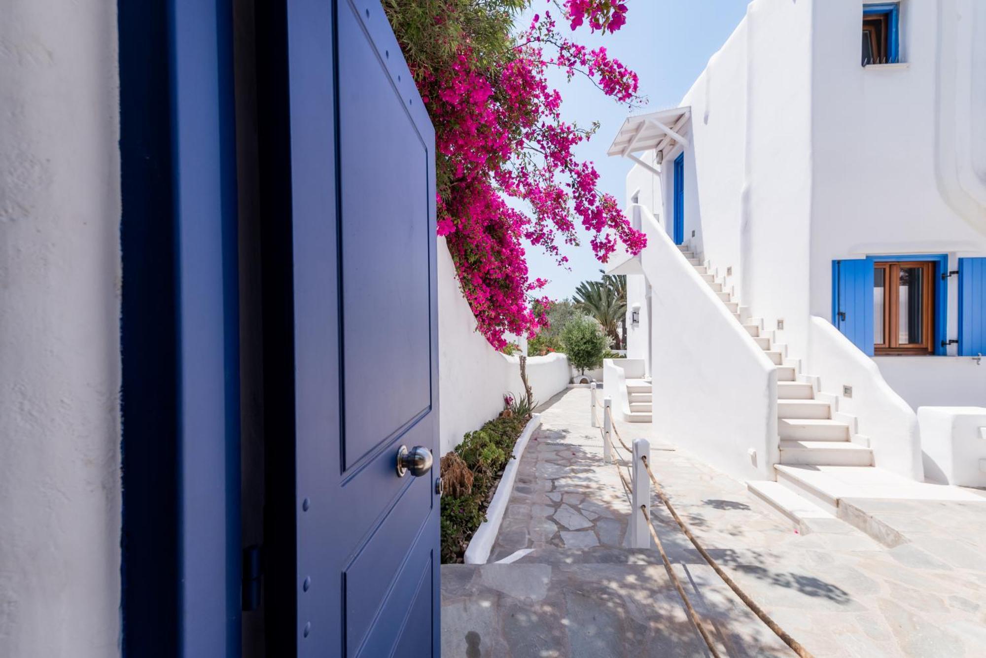 Olive Tree & Capari Mykonos Town Homes & Apartments With Pool! מראה חיצוני תמונה